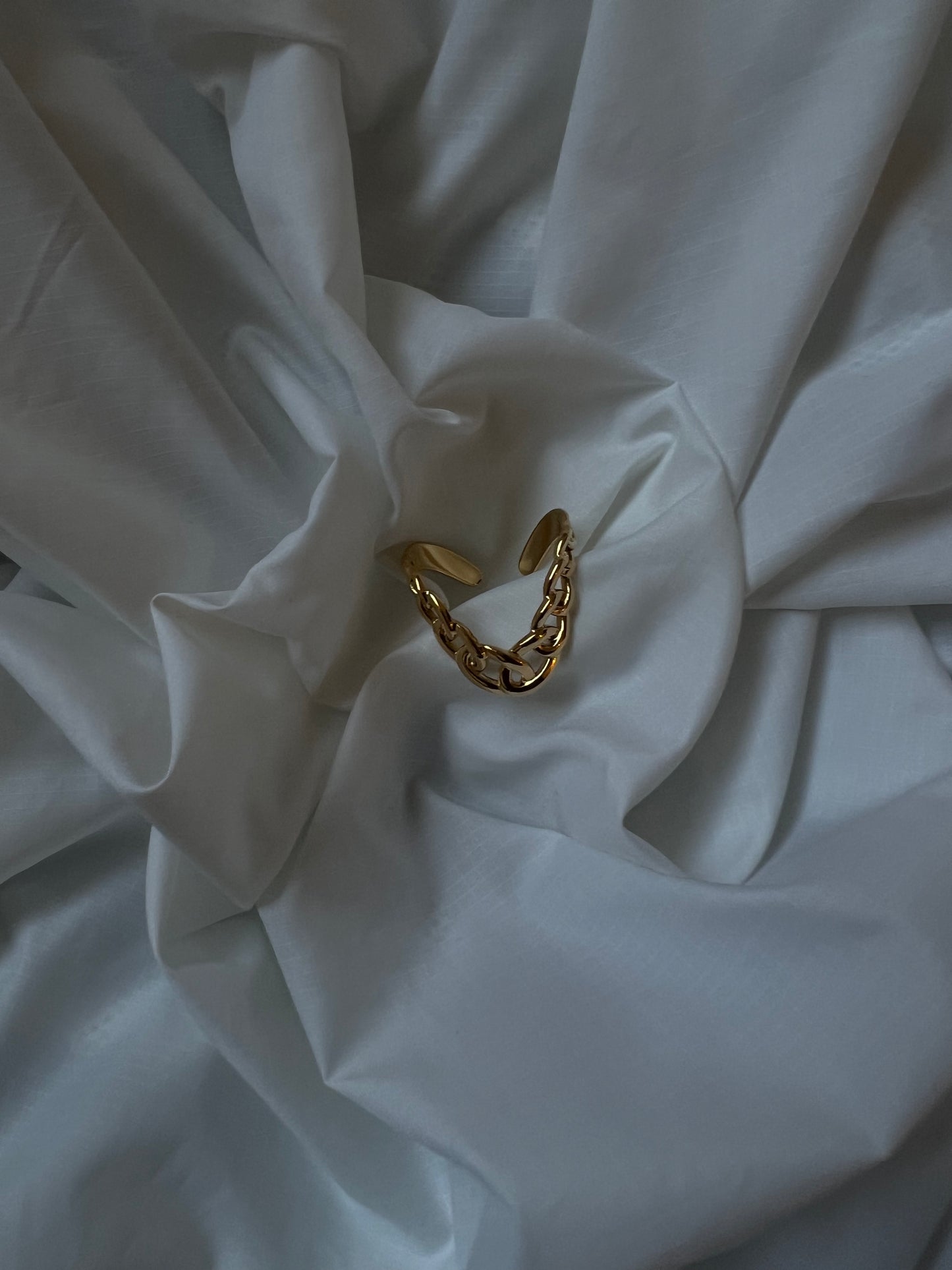 The chain drop ring